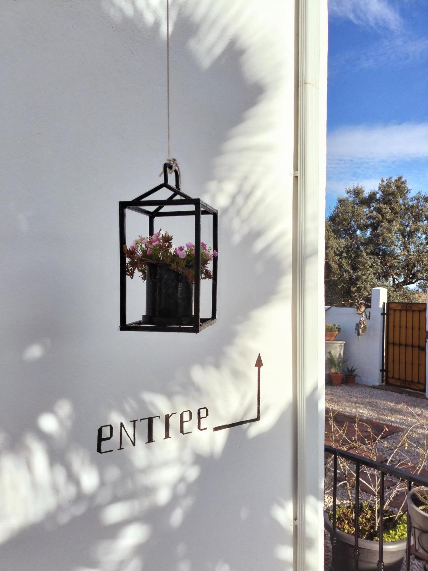 Todos Y Tonya Bed & Breakfast *